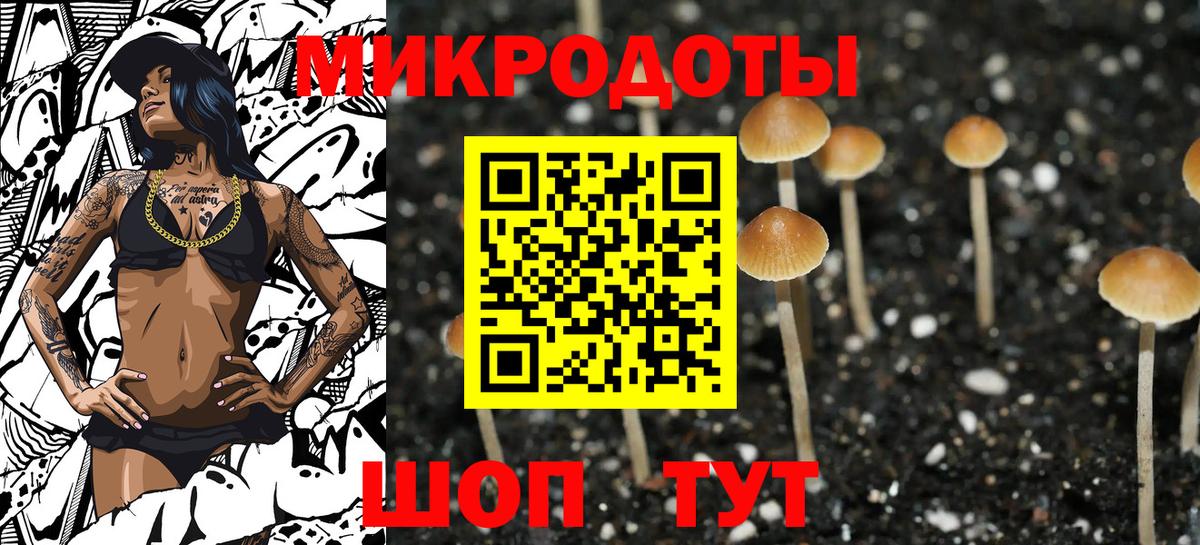 Галлюциногенные грибы ЛСД Зеленодольск
